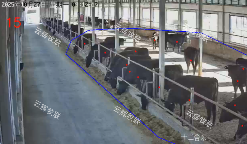 活体监管技术新突破：AI 点数系统让活体牛只融资不再难