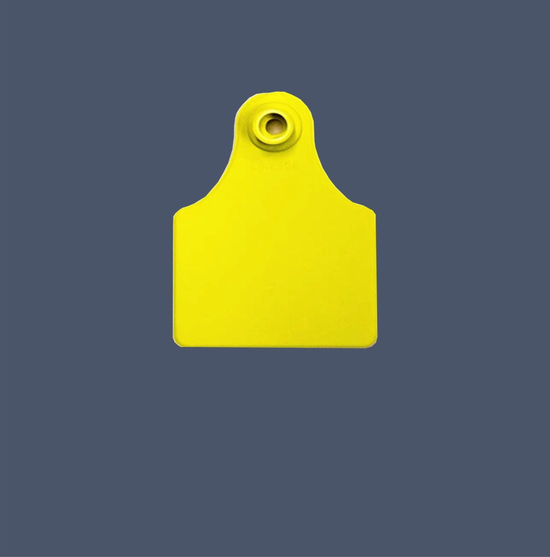 分体式耳标-内页